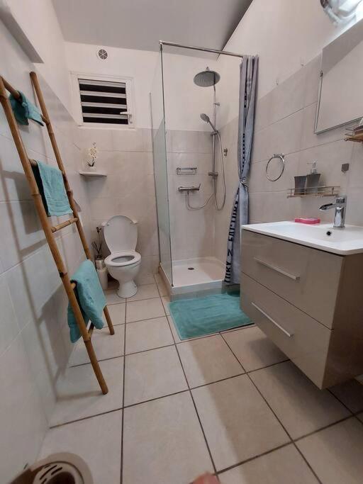 Le Ti Papangue Apartment Saint Pierre Luaran gambar